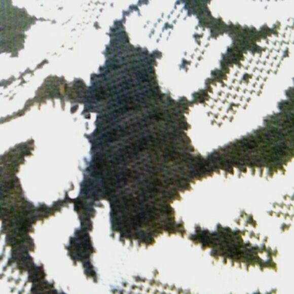 LuLaRoe Fit and Flare Dress - Picture 9 of 10